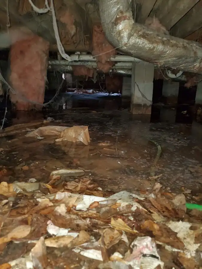 Crawl space flood assessment for Leak Detection & Repair in Warminster